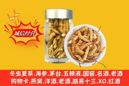 巴彦县回收散虫草
