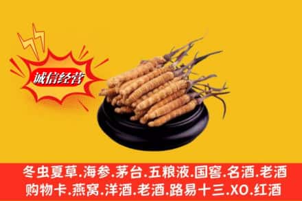 巴彦县求购回收虫草多少钱每克